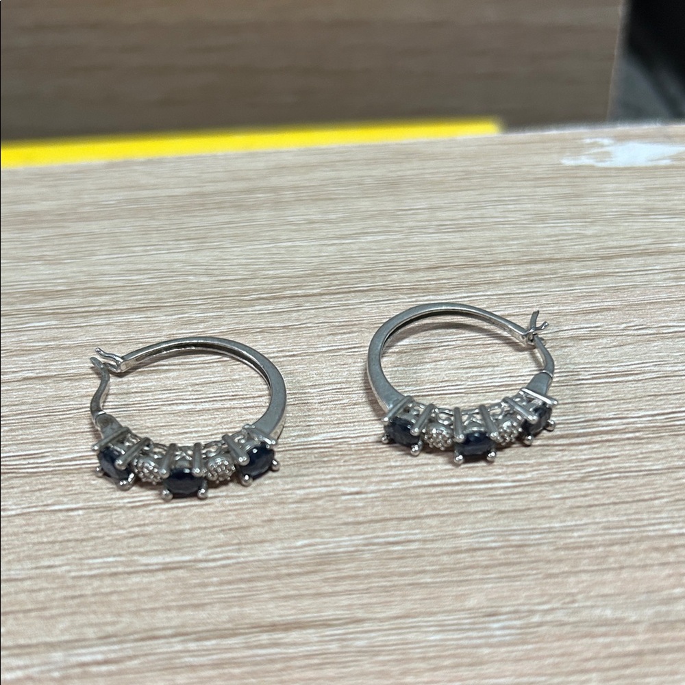 Elegant Silver and Black Hoop Earrings